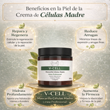 V-CELL MASCARILLA CELULAS MADRE