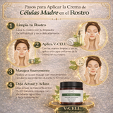 V-CELL MASCARILLA CELULAS MADRE